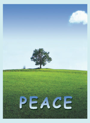 Tract: Peace [100 Pack] PB - Victory Gospel Tracts